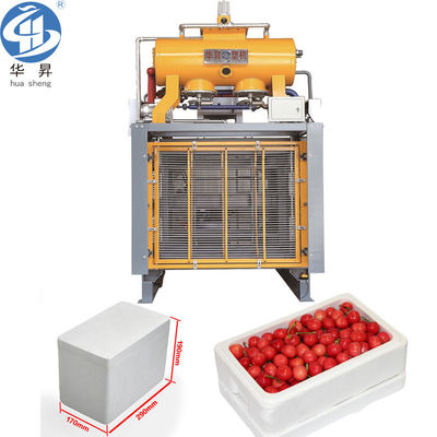 Machine à mousse EPS pour le moulage automatique de boîtes en polystyrène en polystyrène