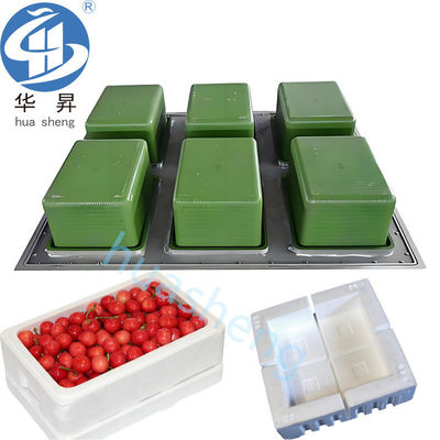 Ingénieurs pour l'entretien de la machine à mousse EPS à l'étranger pour les produits en polystyrène expansé